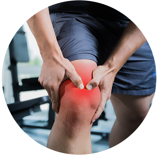 Das Kniegelenk - das größte Gelenk des Körpers